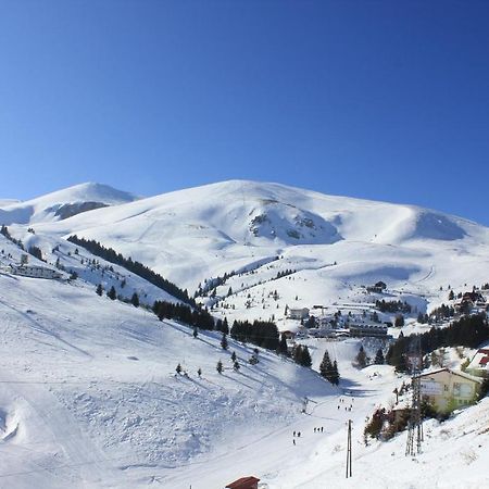 Snow Patrol Lodge Tetovo Esterno foto